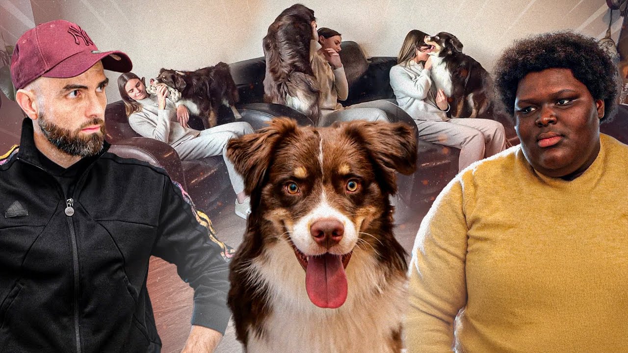 YouTube post by @EspritDog for Emma. Caption reads: “I just adopted him, I can’t cope” Australian....