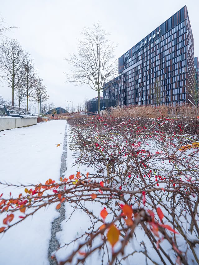 Instagram post by @hin29_photography for Viltrox. Caption reads: Capture the winter atmosphere with a....