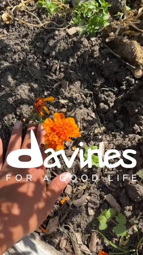 Instagram post by @outsidewithlira for Davines. Caption reads: [...] OUT Ad Soul Food Garden 🌸 Powered by....