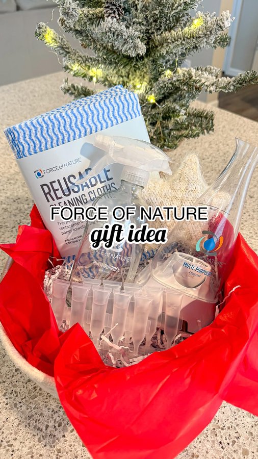Instagram post by @cierrarobinblogs for Force of Nature Clean. Caption reads: The perfect holiday gift for anyone on your list!....