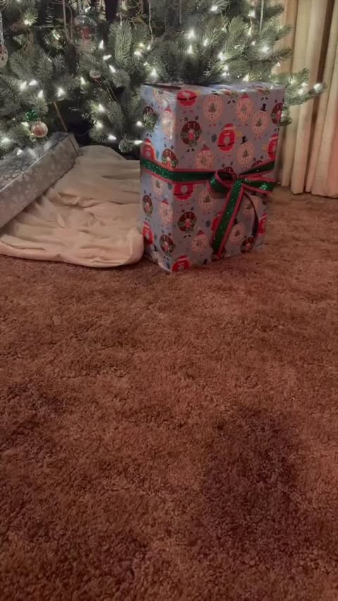 Instagram post by @santa_j_claus for Ring. Caption reads: While I’m out delivering gifts, I still check in....