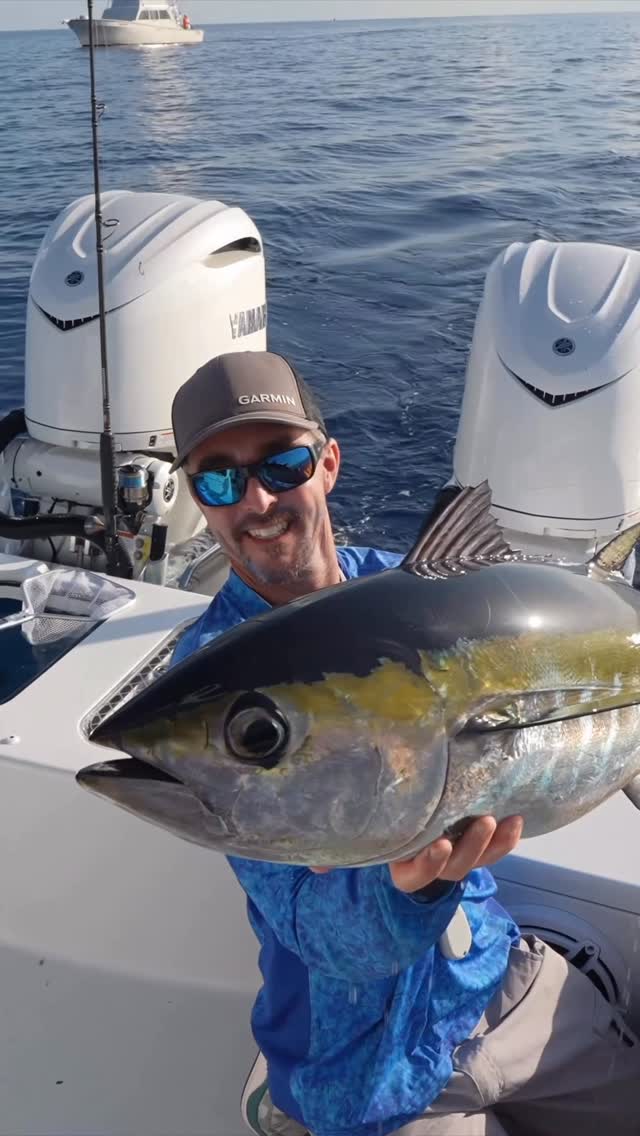 Instagram post by @rhodanmarine for Mustad Fishing. Caption reads: That time of year!! Lot of Blackfin Tuna on the....