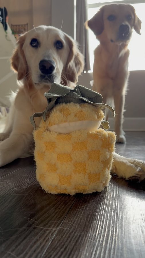 Instagram post by @lil.rora_loves_lil.pay for Lambwolf. Caption reads: our favorite enrichment toys from @lambwolf.co....