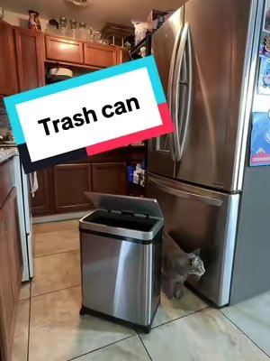 TikTok post by @macoya1977 for Pukomc. Caption reads: Pukomc 50L(13.21Gal) Large capacity Stainless....