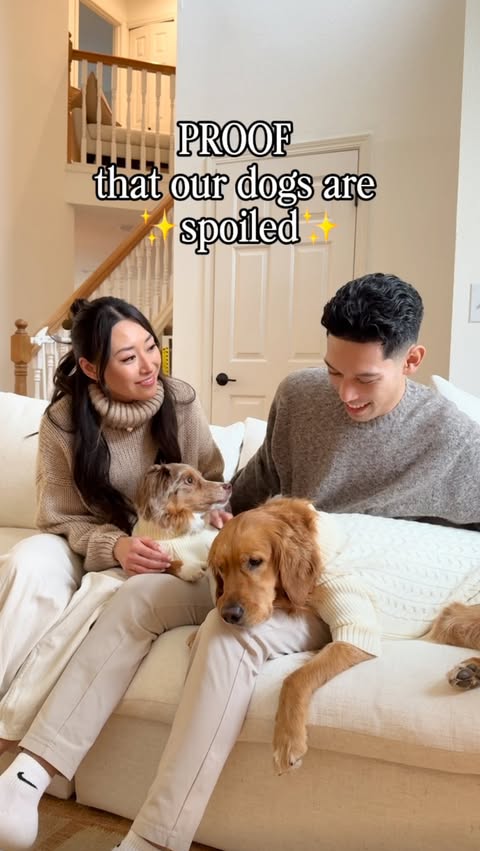 Instagram post by @ayce.and.aria for ACANA Petfoods. Caption reads: Ayce & Aria might be a little spoiled… but we....