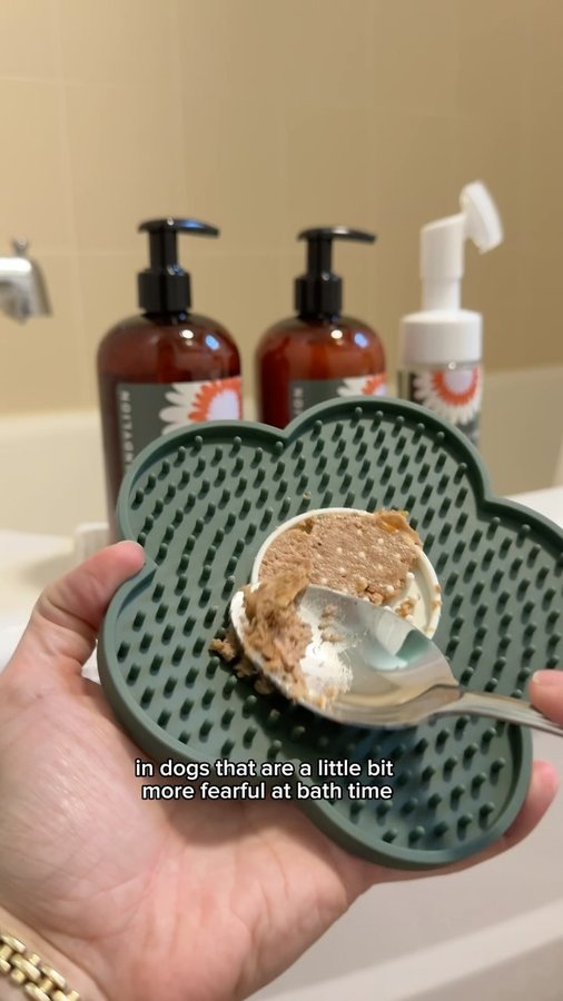 Instagram post by @bindisbucketlist for Dandylion. Caption reads: Did you know that enrichment can help mitigate FAS....