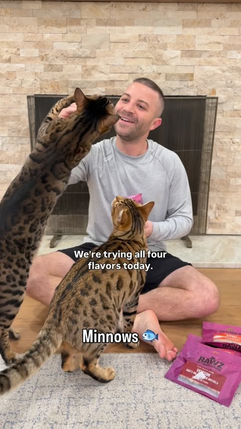 Instagram post by @mickeyandmort for RAWZ Natural Pet Food. Caption reads: @rawznaturalpets just sent the boys their new....