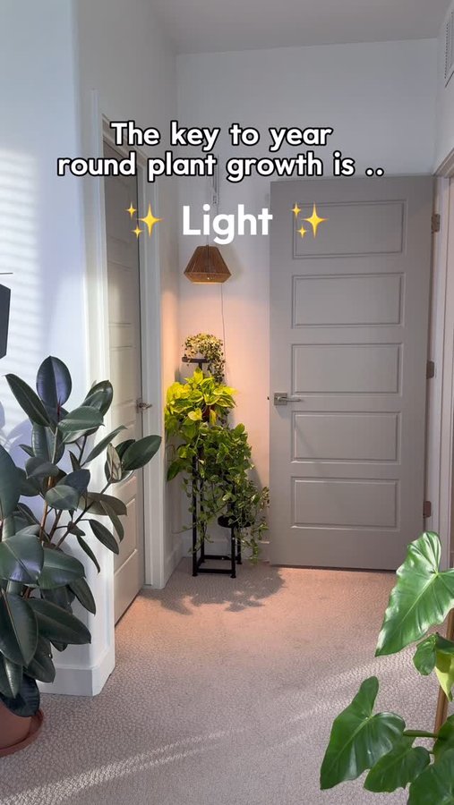 Instagram post by @mariahgrows for Soltech. Caption reads: [...] code “Mariahgrows15” for 15% off The....