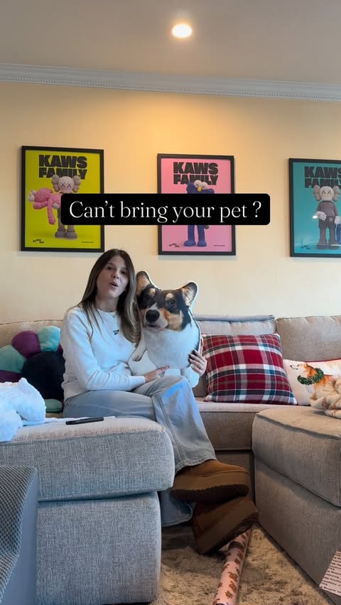 Instagram post by @yosh.the.corgi for All About Vibe. Caption reads: [...] really difficult ! But now thanks to....