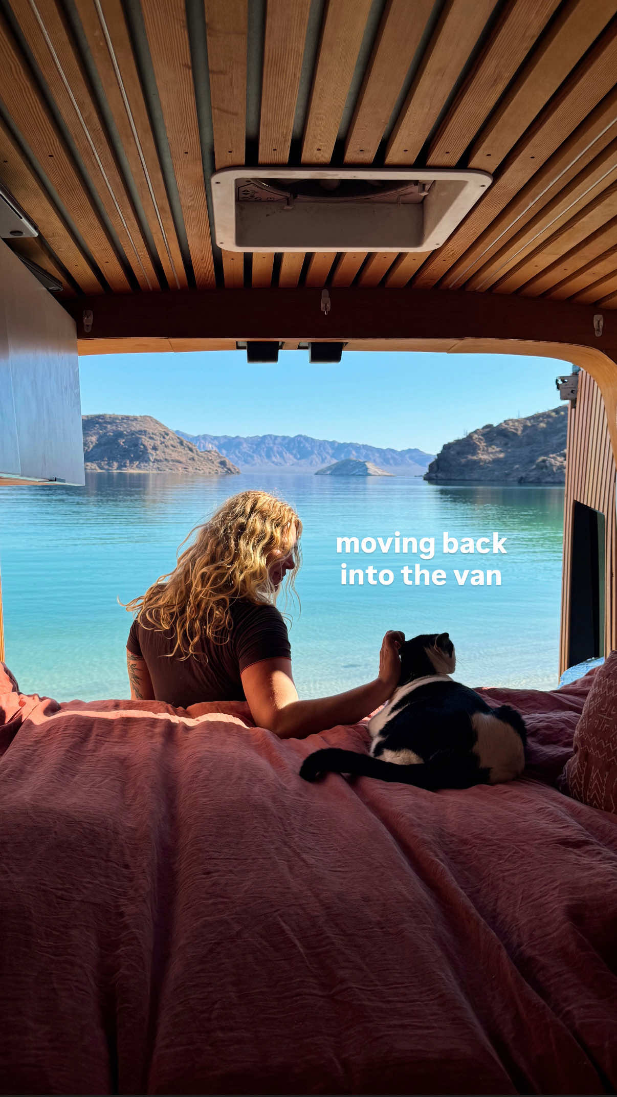 TikTok post by @quingable for Starbucks. Caption reads: #ad Let's get the van ready for summer w/ the help....