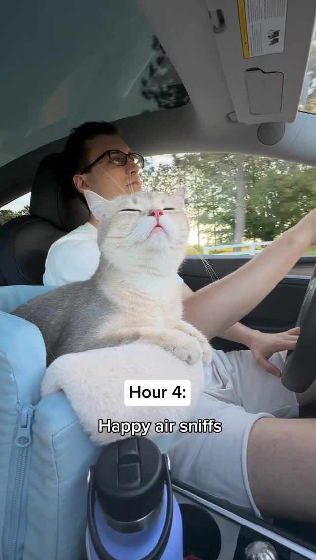 Instagram post by @louieandtodd for Pure Michigan. Caption reads: Louie made enough biscuits to feed a city while....