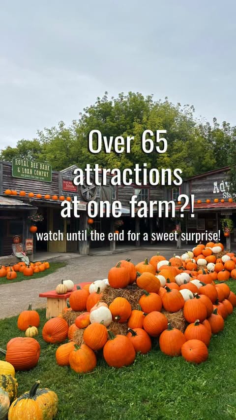 Instagram post by @clovermead_ for Narcity. Caption reads: Clovermead’s Fall Festival has officially begun!....