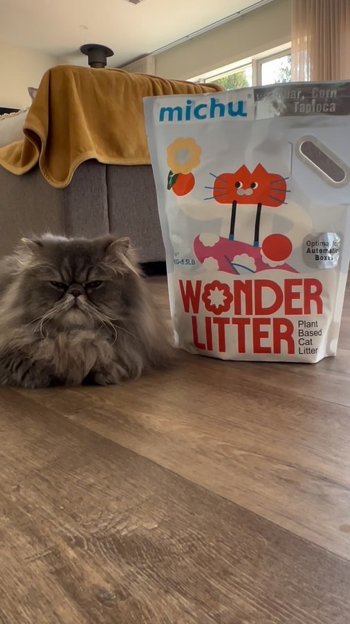 Instagram post by @ziggypersian for MICHUPET. Caption reads: [...] NEW Plant Based Wonder Litter from....