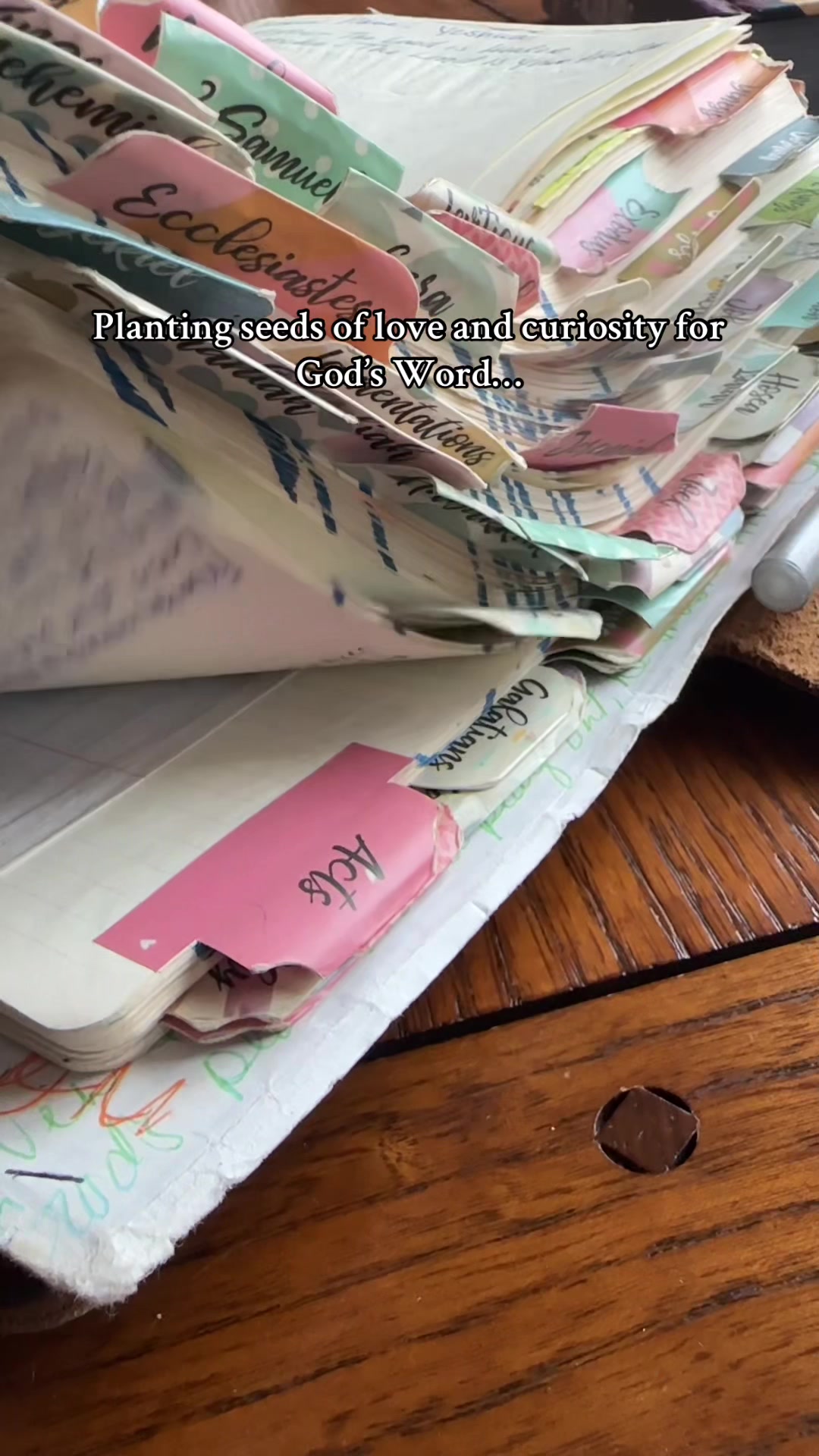 TikTok post by @the.bread.and.butter for Book & Mortar. Caption reads: [...] Redemptive Story❤️ #biblereading @Book &....