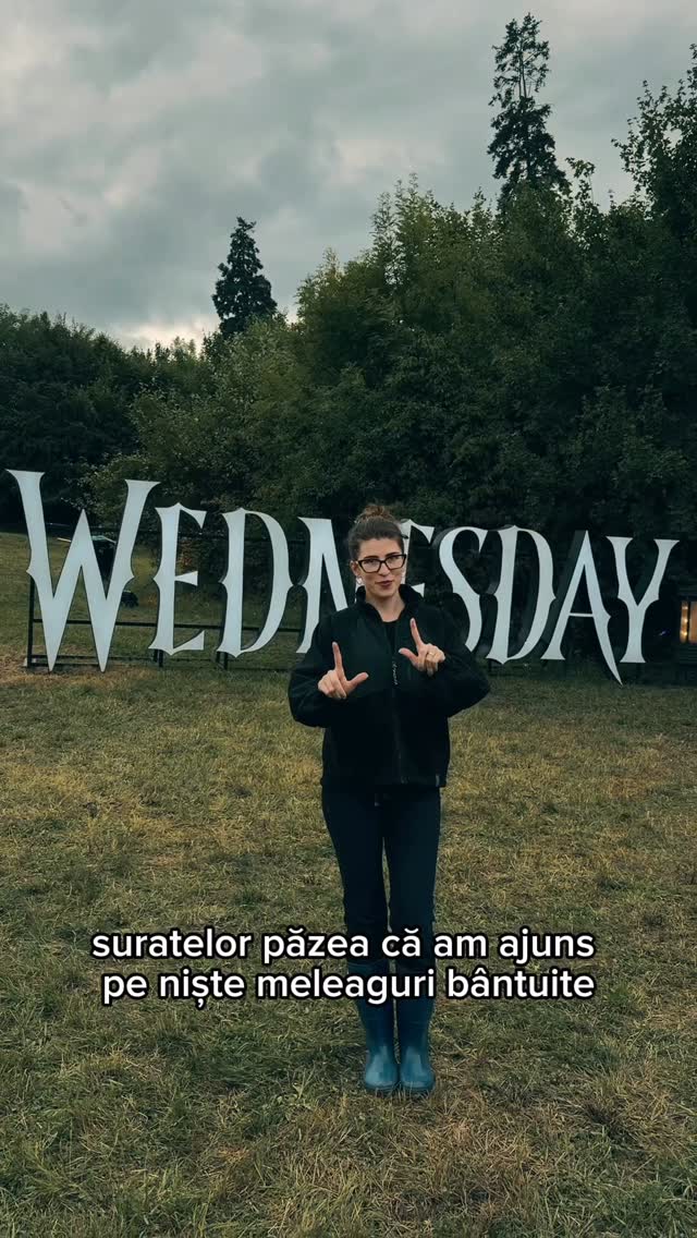 Instagram post by @adinaoanta for Netflix. Caption reads: Mă văitam săptămâna trecută ca nu fac nimic....