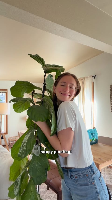 Instagram post by @servedbysara for Rosy Soil. Caption reads: [...] my houseplants with me for spring with....
