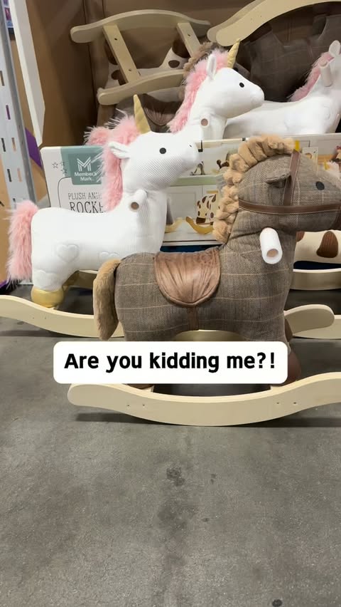 Instagram post by @samsclubmembers for Sam's Club. Caption reads: [...] Elephant $59.98 at Sam’s Club Follow....