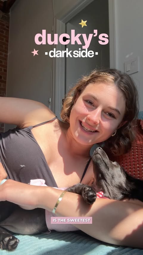 Instagram post by @anamateizsok for Levoit. Caption reads: [...] Friends Animal Society. #VitalPetPro....