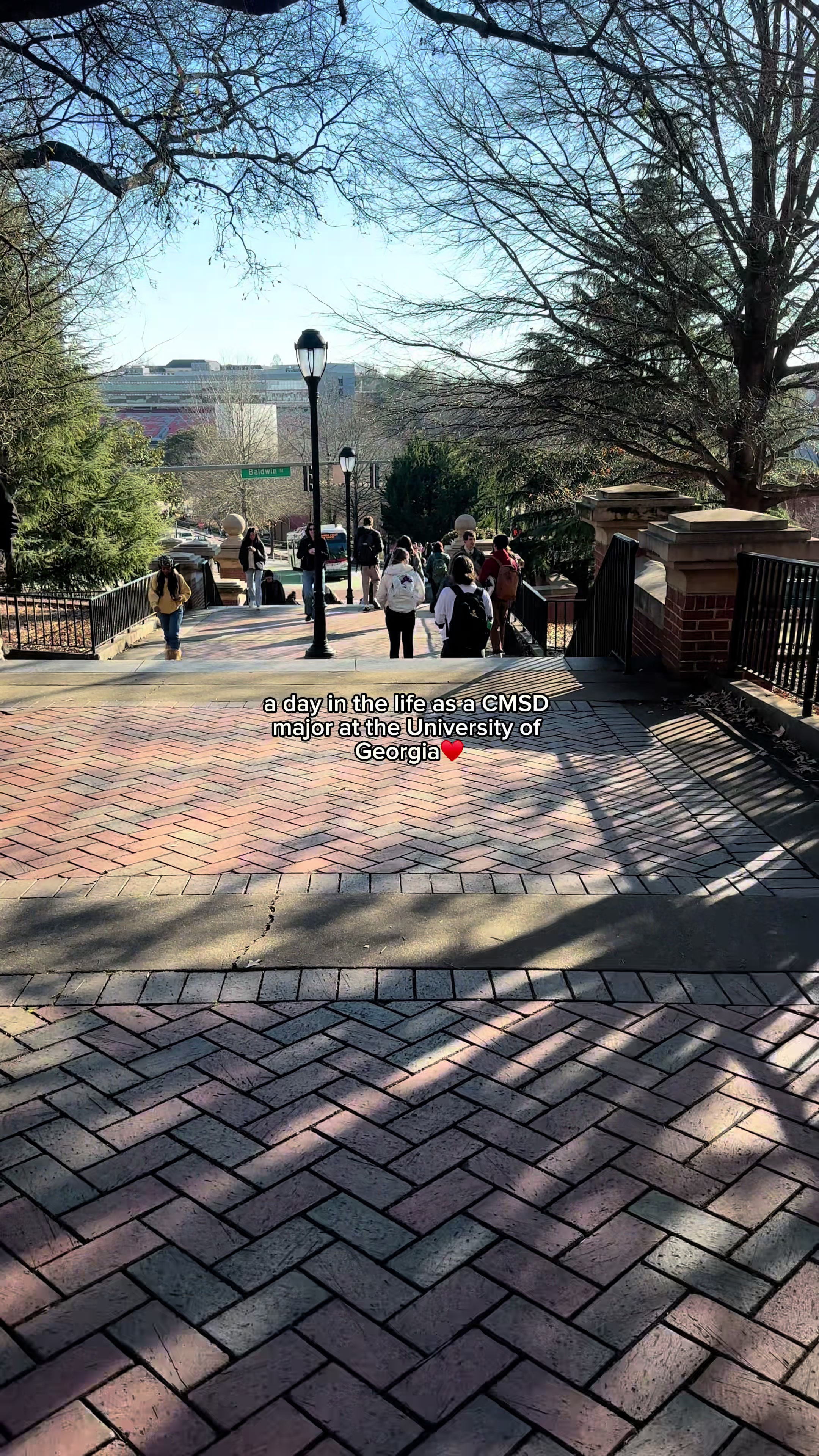 TikTok post by @korayahayes for Chegg. Caption reads: [...] a CMSD major @theuniversityofgeorgia♥️🐾....