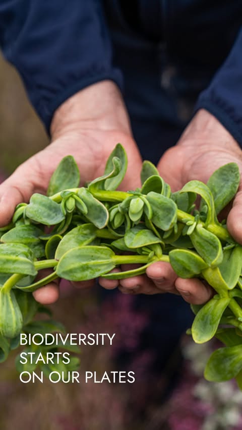 Instagram post by @maurocolagreco for UNESCO. Caption reads: [...] This is why @relaischateaux and @unesco have....