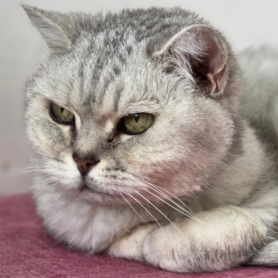 Instagram post by @catherinehuntleyofficial for Jurlique. Caption reads: Hello my lovely friends 🤗 I hope your day is....