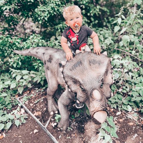 Instagram post by @where2nextkids_ for Channel Mum. Caption reads: 🌳🦕Dinosaur Forest 🌳🦕 

Did you know that....