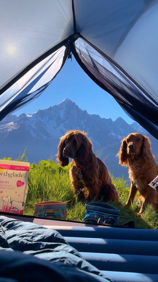 Instagram post by @somewherewilder for Forthglade. Caption reads: literally can’t think of a better feeling than....