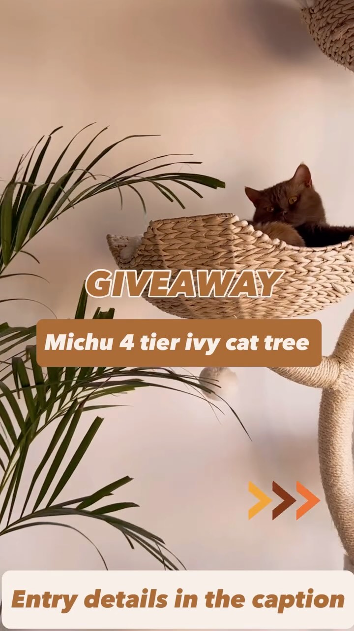 Instagram post by @royalbritishempire for MICHUPET. Caption reads: [...] TREE GIVEAWAY – in partnership with....