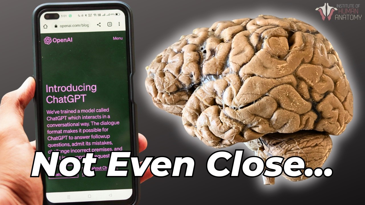 YouTube post by @theanatomylab for Brilliant.org. Caption reads: Your Brain Uses 20 Watts. AI Needs Entire Data....