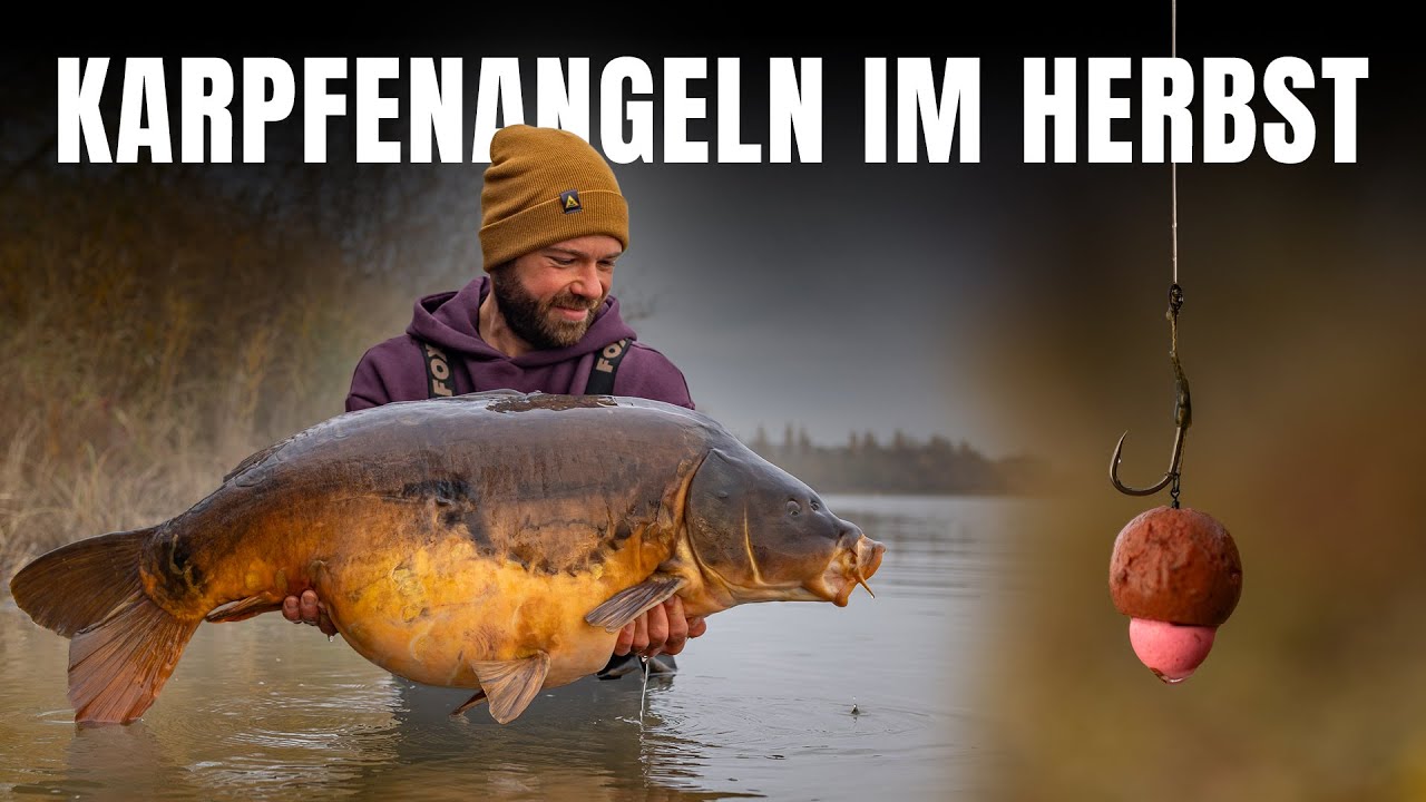 YouTube post by @camonbank for Deepersonar. Caption reads: I'm catching the MOST WANTED 🐋 | Carp fishing in....