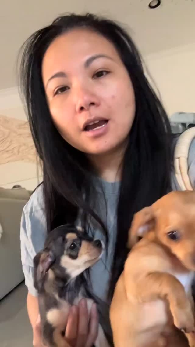 Instagram post by @pawruddd for Marc Jacobs. Caption reads: I knew I wasn’t losing my mind. 🥲 the doggy bag....