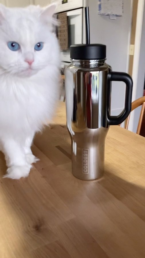 Instagram post by @khaleesithekitty116 for Coldest. Caption reads: Thirsty? Shop The COLDEST Black Friday all month!!....