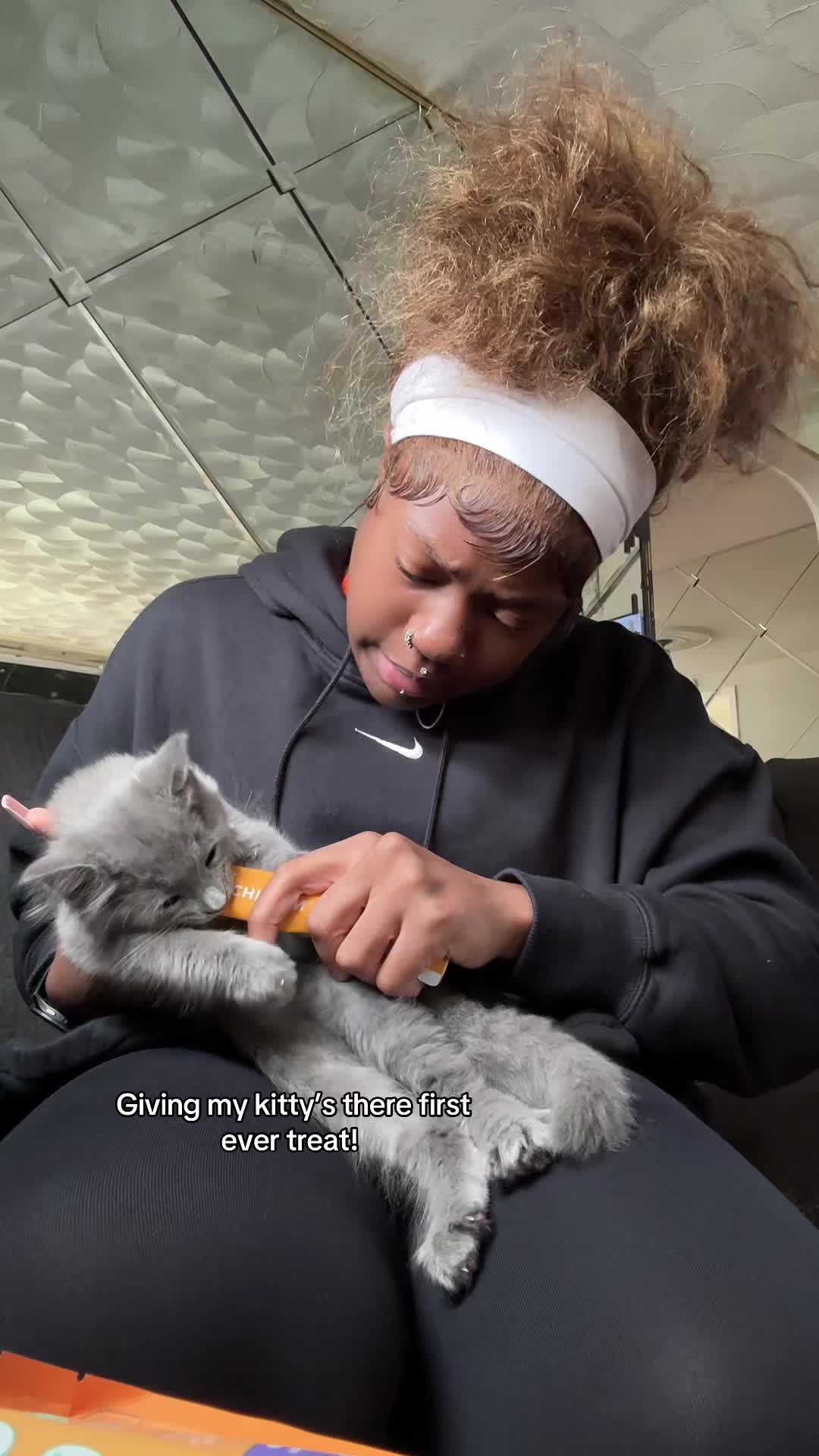 TikTok post by @_vickeycathey for Beloved Pets. Caption reads: @Beloved Pets #belovedpets Giving my kitty’s there....