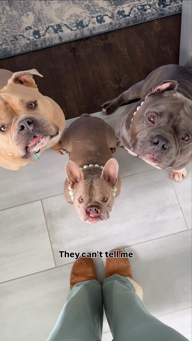 Instagram post by @oso_n_koa for Wondercide. Caption reads: [...] — and for good reason. We’ve trusted....