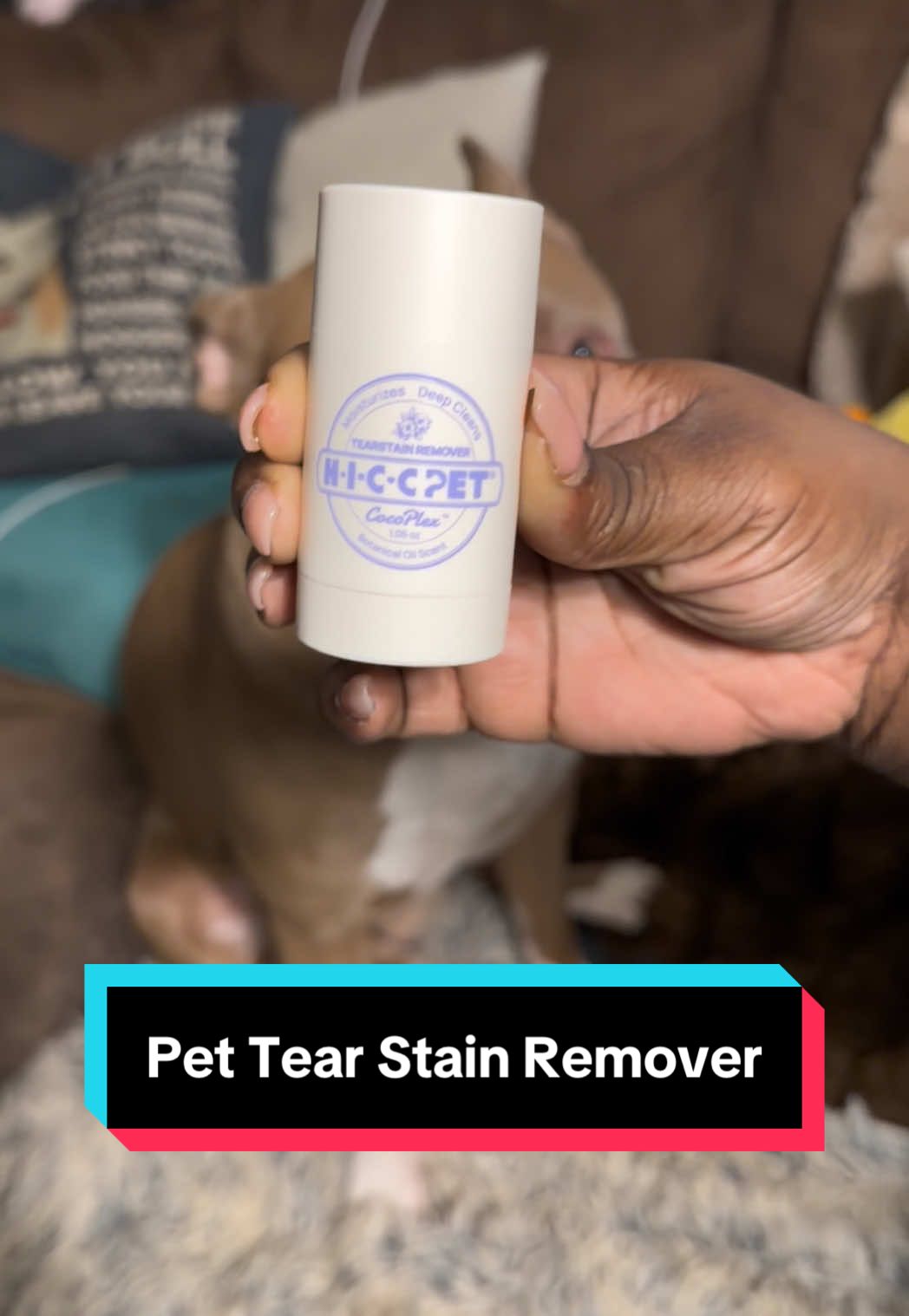 TikTok post by @cici_bullypack for HICC Pet. Caption reads: [...] remover seems to help her out a lot! @HICC....