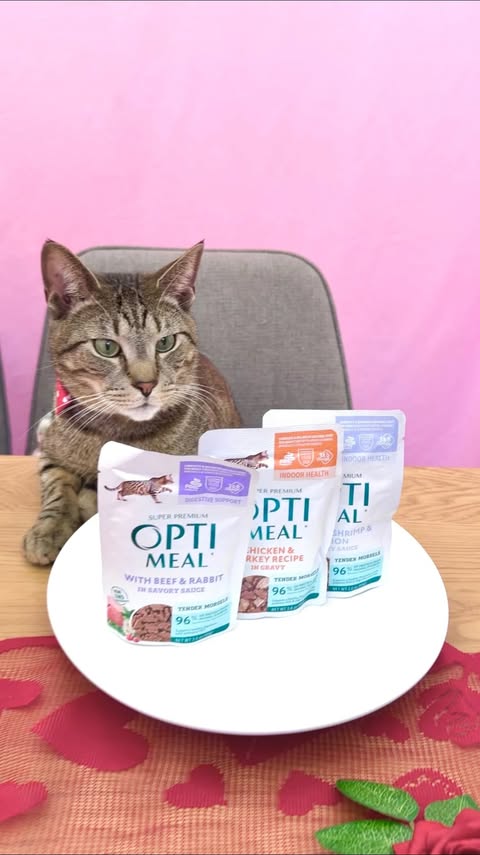 Instagram post by an influencer for Optimeal. Caption reads: [...] share your top-notch meal, @optimeal.usa cat....