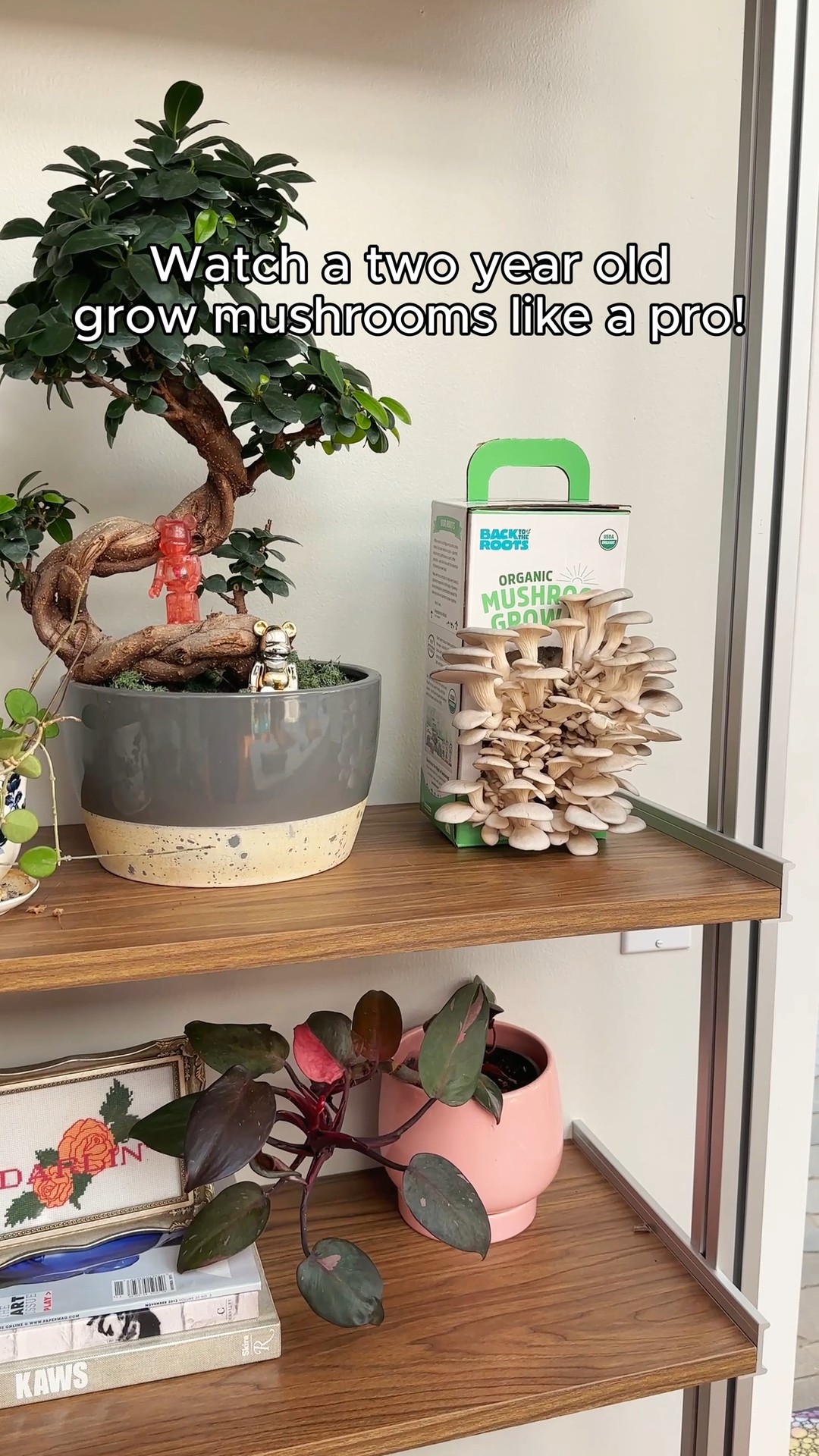 Instagram post by @cubbyathome for The Kitchn. Caption reads: No garden? No problem. These mushrooms thrive on....