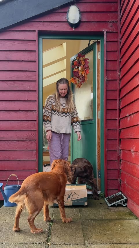 Instagram post by @somewherewilder for Forthglade. Caption reads: Already feeling so festive with @forthglade 🎄❤️....