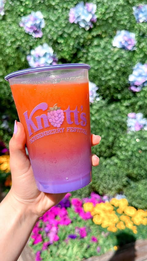 Instagram post by @krystaleverdeen for Knott's Berry Farm. Caption reads: [...] Boysenberry Festival 🍇🍓😋💜✨....