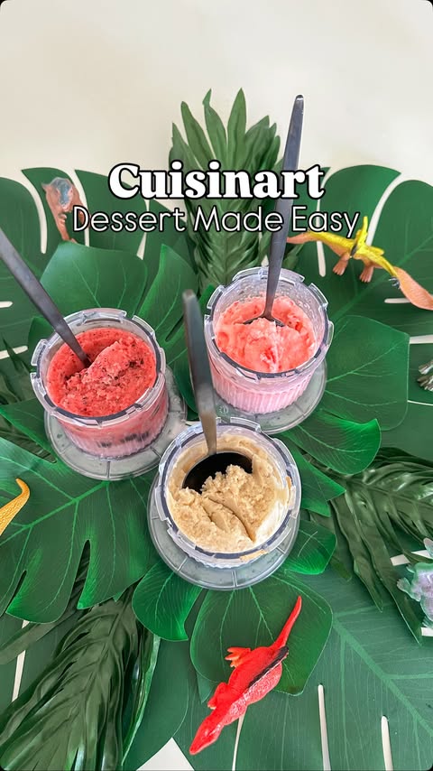 Instagram post by @vanessa_amonn for Cuisinart. Caption reads: [...] can never agree on flavors, so the....