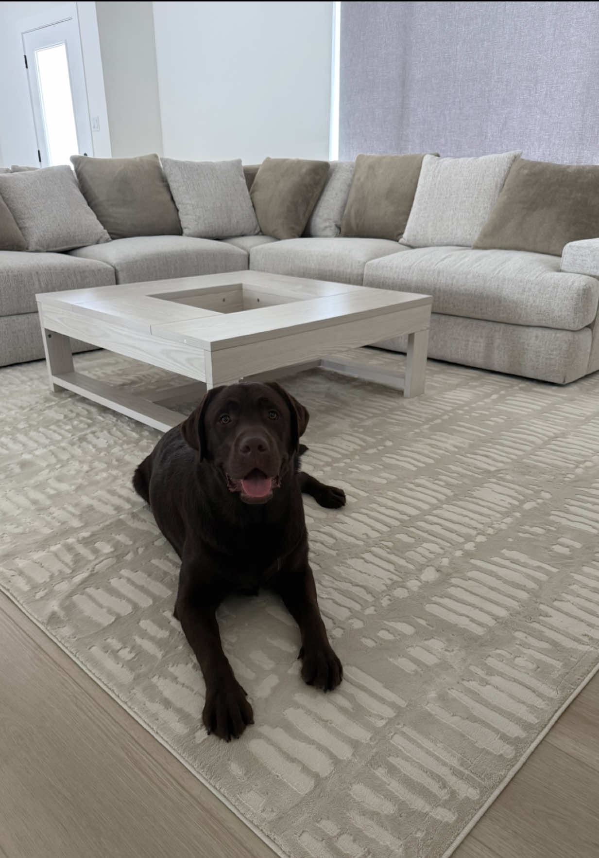 TikTok post by @the.lab.woody for Revival Rugs. Caption reads: You guys know we recently moved into a new house,....