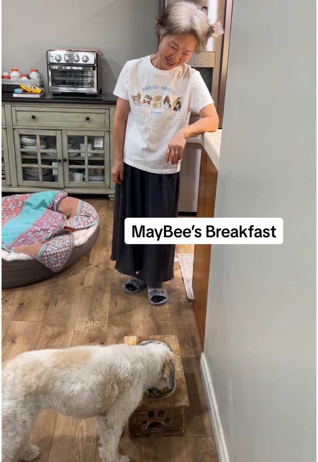 TikTok post by @ahnestkitchen for Native Pet. Caption reads: [...] them all day while the sun is out 🥹....