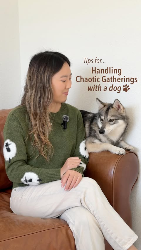 Instagram post by @astridthekleekai for Pupford. Caption reads: Save this checklist ⤵️ before you host or take....