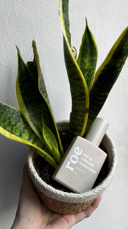 Instagram post by @hollanddaddi for Roe Wellness. Caption reads: [...] to wear your sunscreen ;) #ad 

@roewellness....