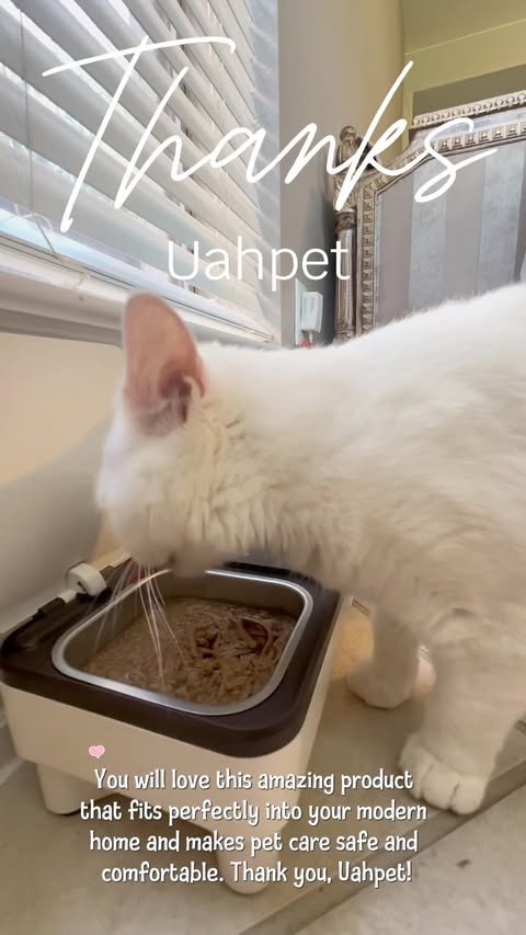 Instagram post by @turkishfamilyusa for Uahpet. Caption reads: Huge thanks to Uahpet for this wonderful....