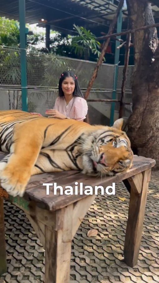 Instagram post by @jasmine28kaurr for Pee Safe. Caption reads: My travel bag is never complete without my Pee....