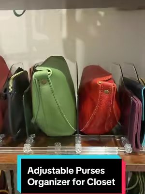 TikTok post by @buywithbecca for Vtopmart. Caption reads: [...] #organization #spacesaver #baglover....