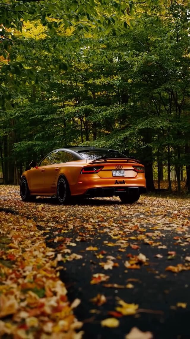 Instagram post by @wavykid.s7 for Audi USA. Caption reads: Not AI…. 🍂

#Audi #S7 #Fall #Leaves #Cars #audi....