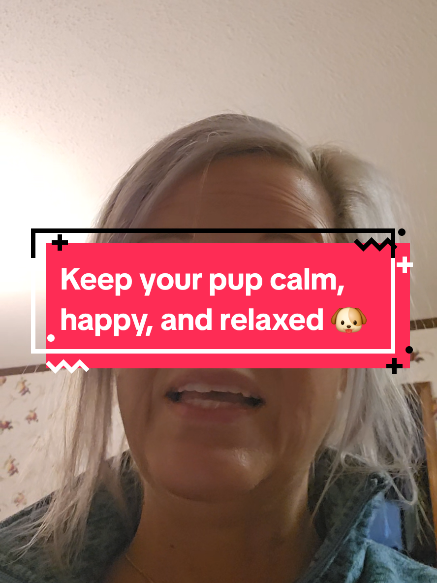 TikTok post by @hoodmothermary for Kradle. Caption reads: [...] your pup calm, happy, and relaxed with....