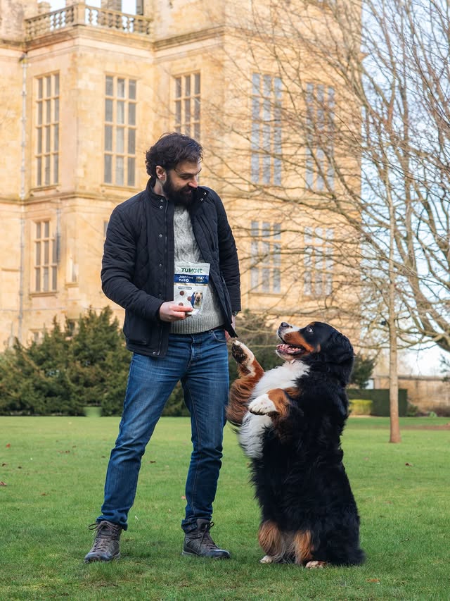 Instagram post by @berner.bears for YuMOVE. Caption reads: [...] it is to keep her joints healthy. YuMOVE’s....